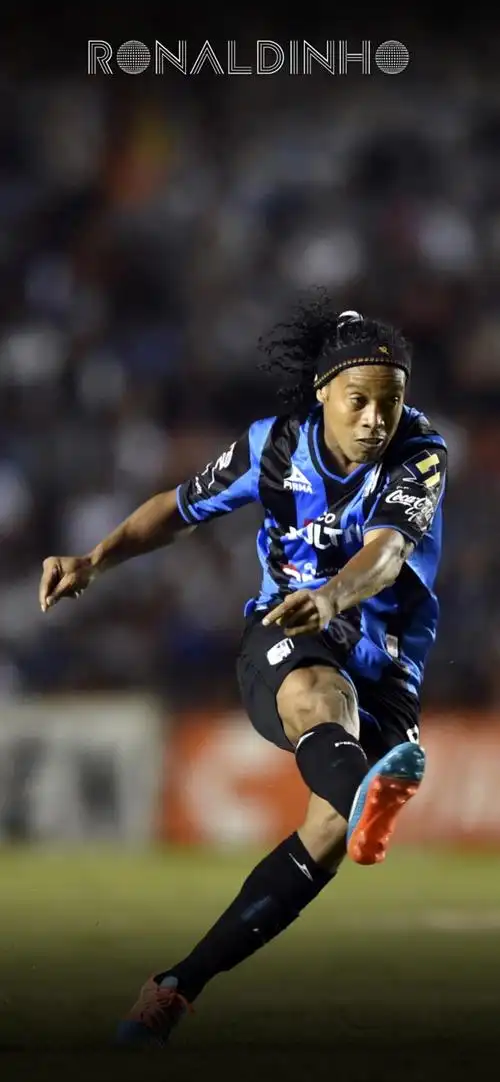 拥有众多的 拥有众多的